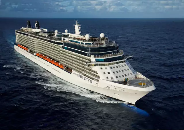 Celebrity Reflection