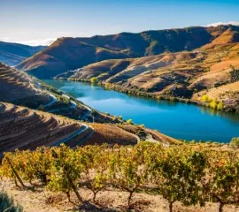 Der Douro an einem sonnigen Tag umgeben von Weinreben und Bergen.