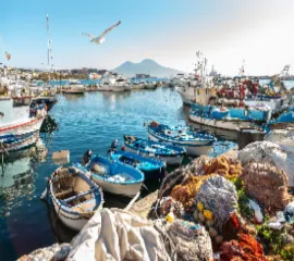Kleine Fischerboote im Hafen von Neapel mit Netzen am Kai und dem Vulkan Vesuv im sonnigen Hintergrund – ideal für eine Kreuzfahrt nach Neapel.