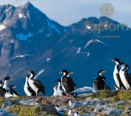 Blick auf Ushuaia – wilde Natur, schneebedeckte Bergen und Tiere.