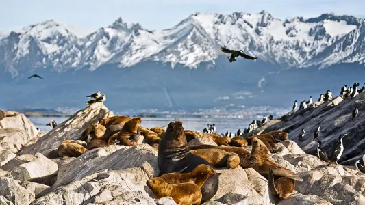 Puerto Madryn