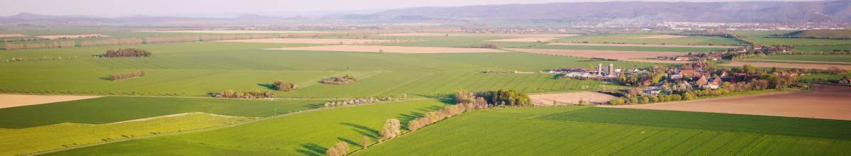 Die Felder von Sachsen-Anhalt dargestellt im Panorama.