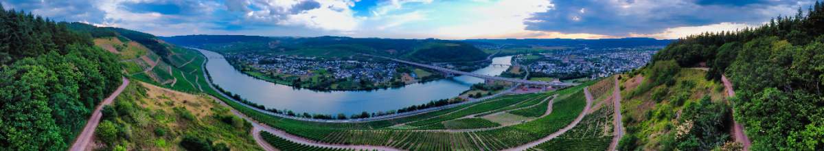 Panorama der Mosel und ihrer Dynamik.