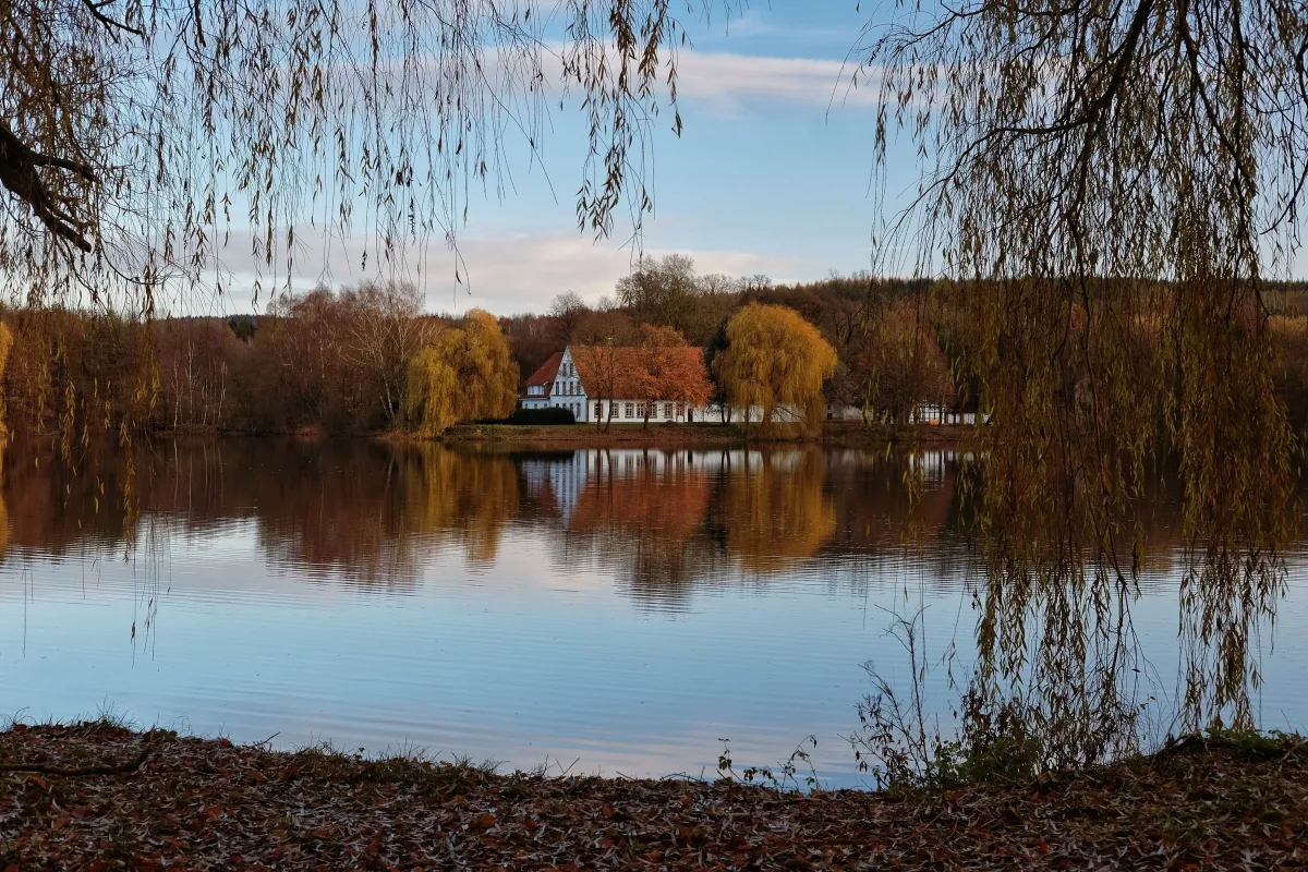 Herbstliche Idylle im Teutoburgerwald Ein Herbsttag am Teutoburger Wald See: Blick über den ruhigen Aasee, in dessen Wasseroberfläche sich eine historische Mühle und herbstlich gefärbte Bäume spiegeln.