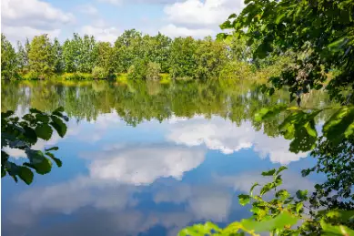 Der klare Himmel spiegelt sich im Wasser des Sees. Drum herum bewundert man die friedliche Natur aus Pflanzen und Bäumen.