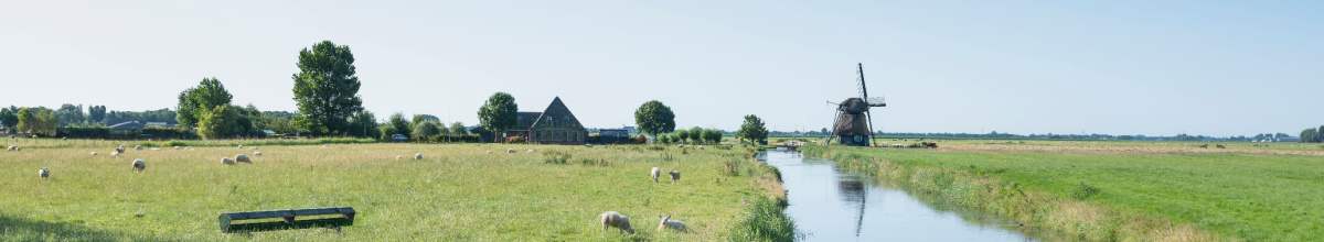 Ein kleiner Bach fließt durch die Lanschaft von Hoorn. Auf einer Wiese stehen Schafe.