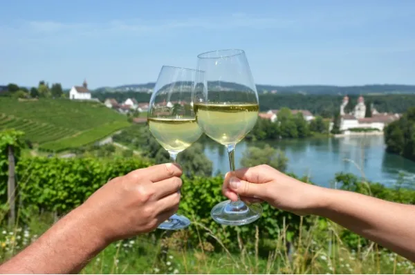 Zwei Personen stoßen mit Weißwein am Rhein an: Buche Sie Ihre Wein & Genuss Reise mit A-ROSA 2026.