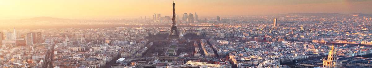Panoramablick auf Paris mit dem Eiffelturm in der Mitte