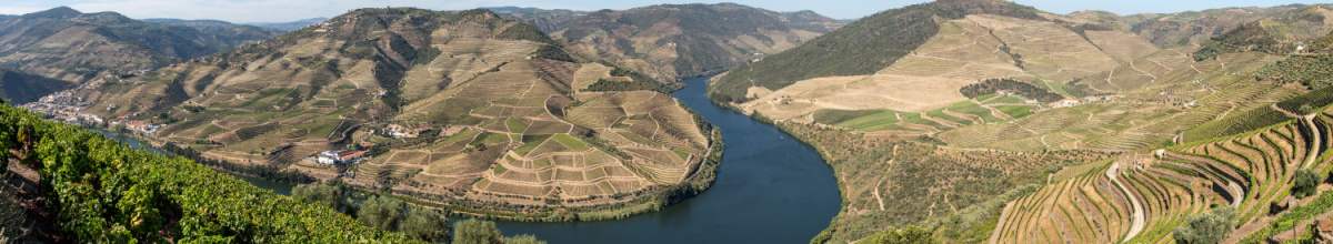 Das Douro-Tal in Portugal. Umgeben von Weinbergen fließt der Douro durch das Tal.