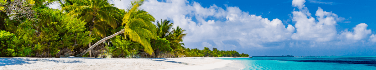 Strand mit weißem Sand und Palmen vor blauem Meer in der Karibik.