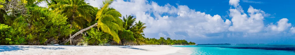Strand mit weißem Sand und Palmen vor blauem Meer in der Karibik.