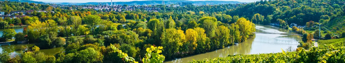 Ausblick auf den Neckar, den Sie während der Flusskreuzfahrt mit der MS Swiss Crystal erkunden können.