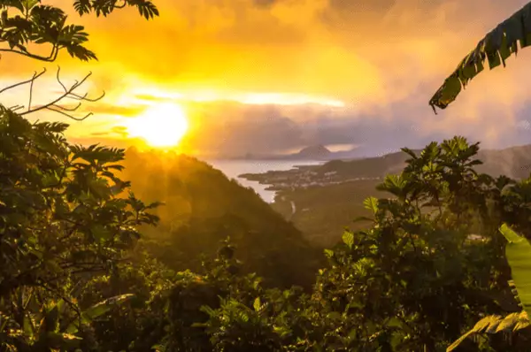 Sonnenuntergang auf Martinique Aussicht vom Morne Gommier auf Martinique im Sonnenuntergang. Blick über die Wälder auf das Meer.