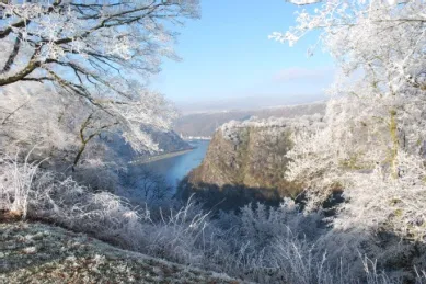Malerische Winterlandschaft am Rhein mit schneebedeckten Bäumen und Blick auf den Fluss von einem Berg aus. Darüber ein blassblauer Himmel.