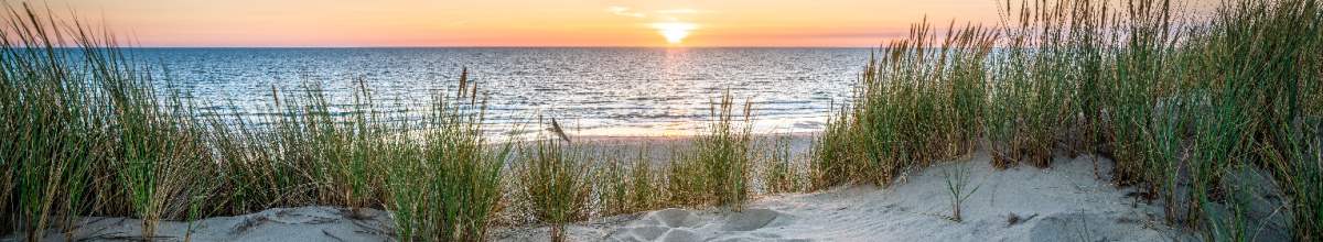 Ostseestrand mit Dünen bei Sonnenuntergang.
