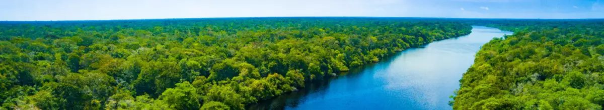 Der Amazonas fließt durch den Dschungel in Brasilien.