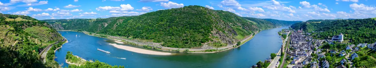 Blick auf den Rhein und die umliegende Natur.