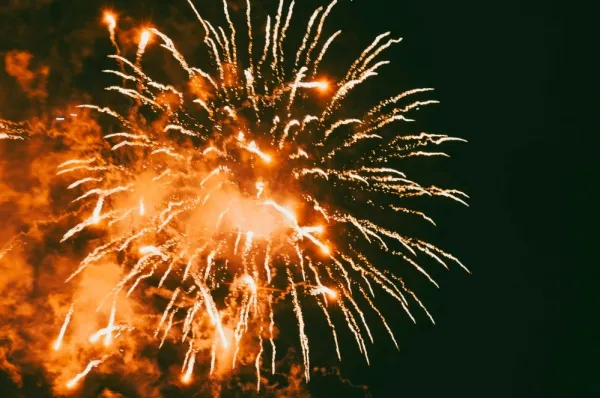 Genießen Sie das Silvester Feuerwerk auf einem Schiff von Phoenix Reisen.