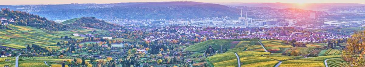 Panorama über Weinberge vor Bad Cannstatt.
