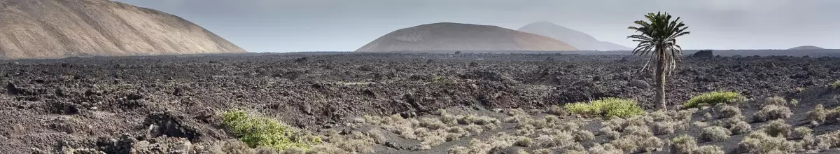 Trostlose Vulkanlandschaft auf Lanzarote.