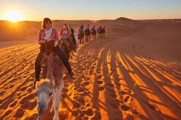 Buchen Sie über lokale Anbieter beispielsweise einen Ausritt auf einem Kamel durch die Wüste Kairos.