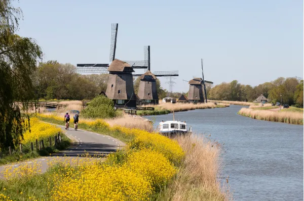 Drei historische nordfriesische Windmühlen an einem Kanal mit gelben Blütenfeldern, Radfahrern und einem Boot unter blauem Himmel.