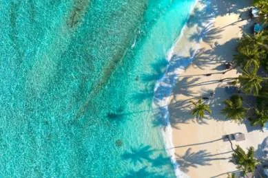 Luftaufnahme eines paradiesischen Karibikstrandes, einer der Hauptgründe für eine Kreuzfahrt in diese Region. Das kristallklare, türkisfarbene Meer trifft auf einen weißen Sandstrand, auf den die Schatten von Palmen fallen.