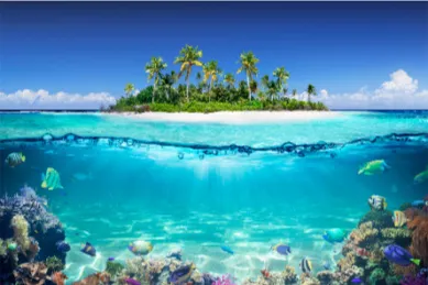 Tropische Karibikinsel mit Palmenstrand über und farbenfrohem Korallenriff unter der Wasseroberfläche.