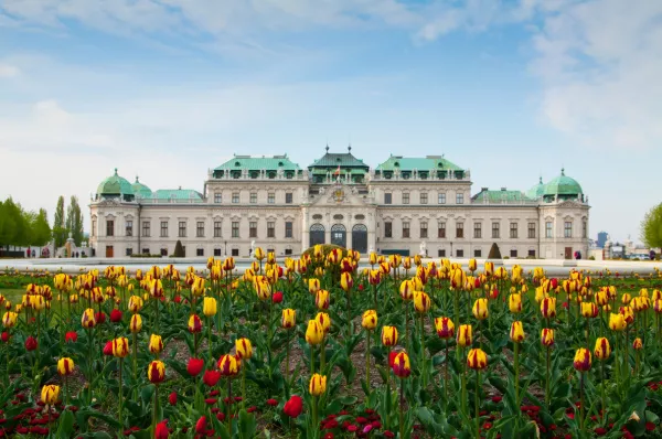 Reisen Sie mit Phoenix Flusskreuzfahrten im Frühling nach Wien Gelbe und rote Tulpen vor dem Belvedere in Wien