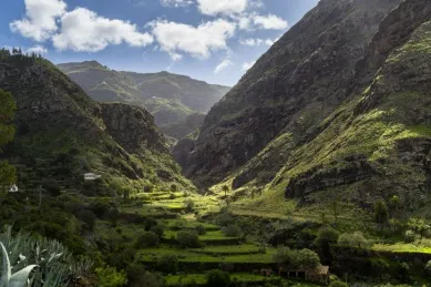 Eine üppige Berglandschaft auf den Kanarischen Inseln.