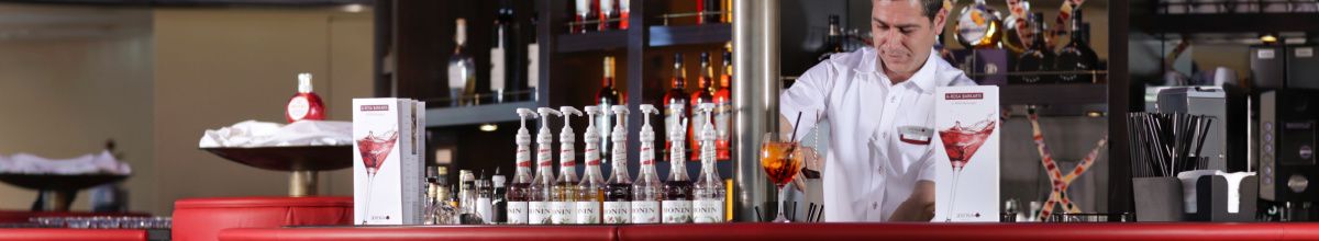 Bar auf der A-Rosa.