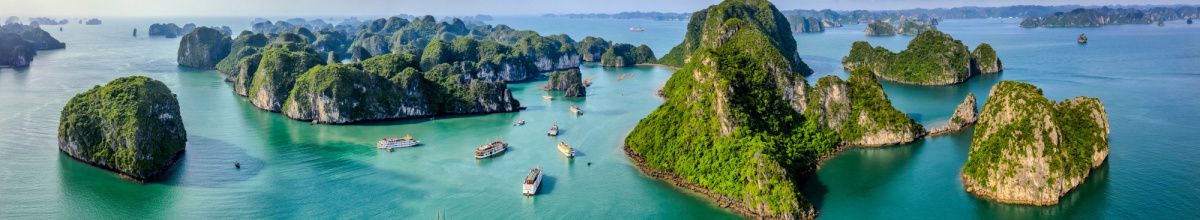 Mehrere Schiffe im Meer vor grünen Inseln in Asien.