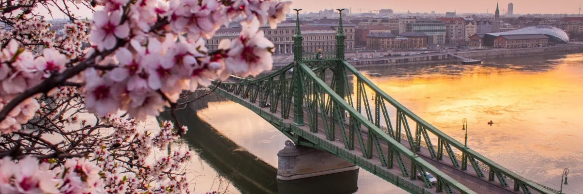 Donaukreuzfahrt über Ostern Das Bild zeigt die Freiheitsbrücke (Szabadság híd) in Budapest, Ungarn während Kirschbäume blühen.