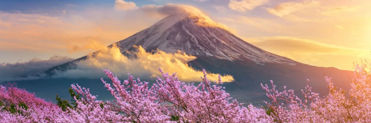 Kirschblüte in Japan über Ostern Das Bild zeigt den Berg Fuji (Fujisan) in Japan während der Kirschblütensaison (Sakura).