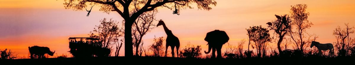 Giraffe, Elefant, Zebra Silhouetten bei Sonnenuntergang
