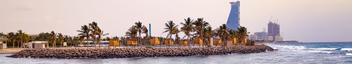 Strand mit Palmen und Wolkenkratzer im Hintergrund