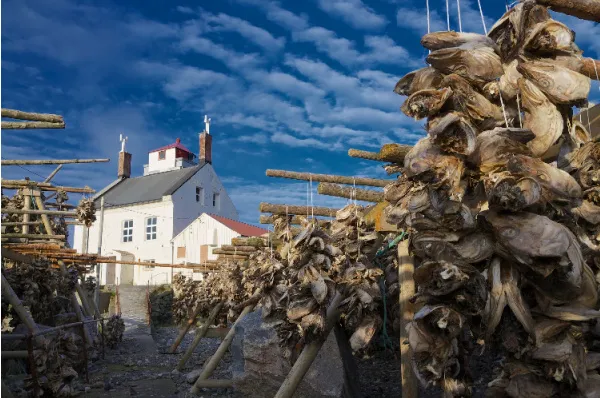 Gedörrter Fisch außerhalb eines isländischen Gebäudes bei Tag.