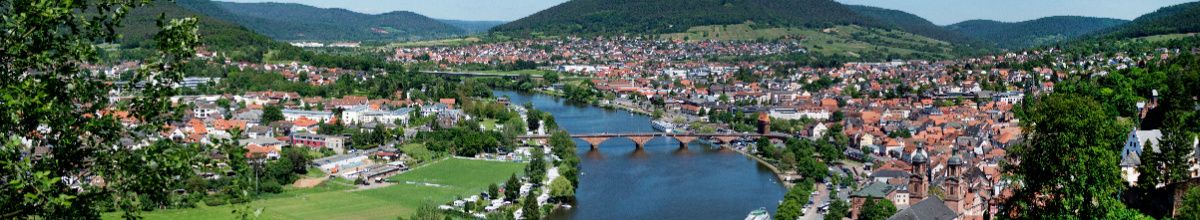 Eine Totale von Miltenberg mit dem Main, der die Stadt durchfließt umsäumt von grünen Hügeln und Weinbergen bei Tag.