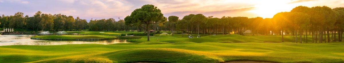 Ein grüner Golfplatz bei Sonnenuntergang.