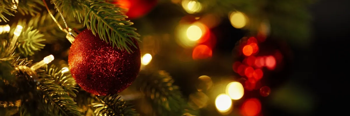 Schmücken Sie den Weihnachtsbaum an Bord und freuen Sie sich auf ein festliches Dinner bei einer Flusskreuzfahrt mit AMADEUS.