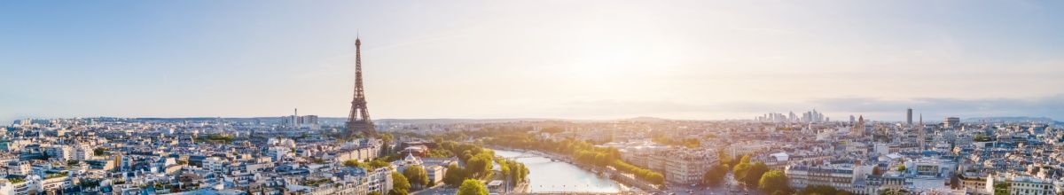 Blick auf Paris, den Eifelturm und die Seine.