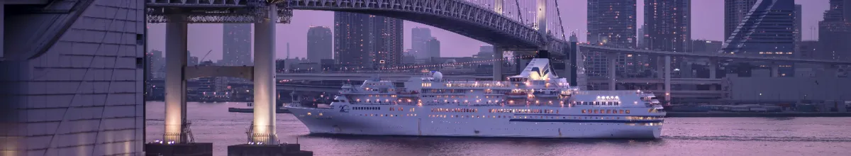 Ein Kreuzfahrtschiff, welches unter einer Brücke hindurchfährt, im Hintergrund sind Hochhäuser.