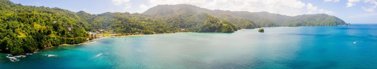 Panoramablick auf die grüne Insel Tobago.