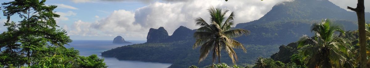 Panoramablick über São Tomé mit einer Palme im Vordergrund und bewaldeten Hügeln sowie dem Meer im Hintergrund.