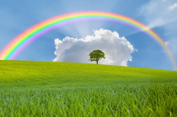 Ein Regenbogen auf dem Feld: Er steht symbolisch für die LGBTQIA+ Kreuzfahrt mit der <i>Mein Schiff 5</i>.
