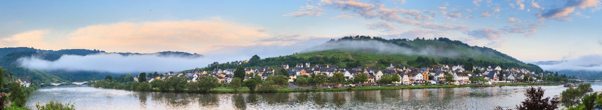 Die Stadt Zell an der Mosel mit grünen Weinbergen im Hintergrund bei Dämmerung.