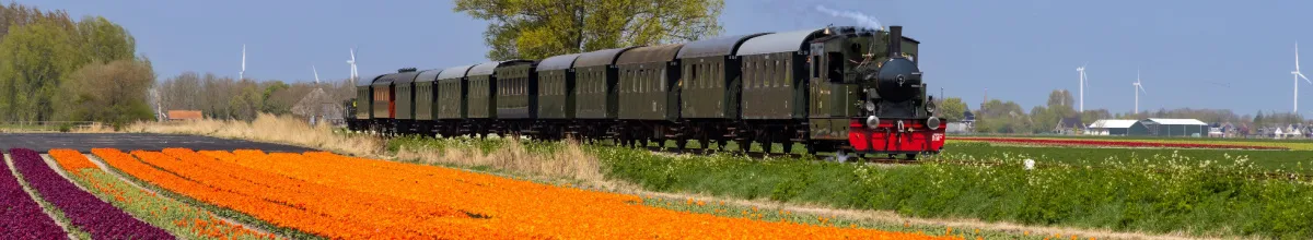 Eine alte Lokomotive die durch ein malerisches Blumenfeld bei Medemblik fährt bei Tag.