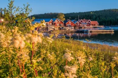 Rote Häuser am Wasser inmitten grüner Natur.