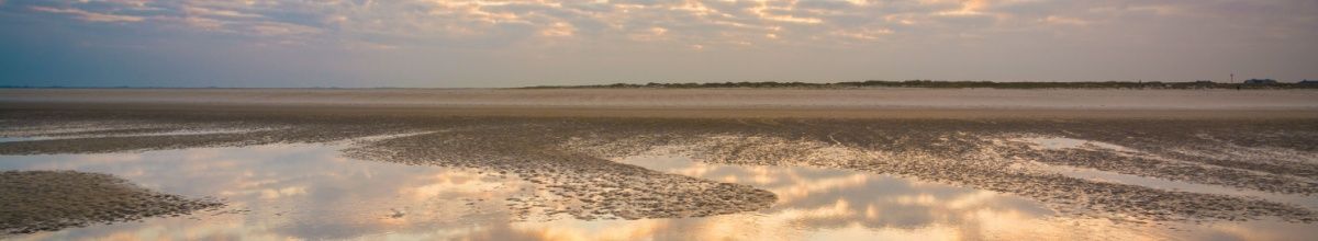 Wattenmeer im Abendlicht.