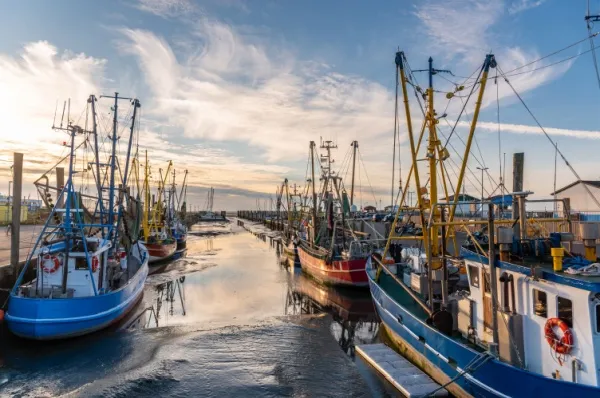 Fischerboote Fischerboote im Hafen in Ostfriesland.